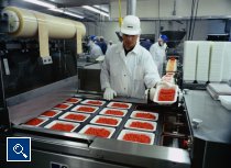 Abb. 1: Mit den metalldetektierbaren Kunststoffen von Ticona ist es möglich, Kunststoffpartikel in Lebensmitteln mit den gängigen Methoden der Fremdkörperdetektion, wie beispielsweise mittels elektromagnetischer Induktion, nachzuweisen (Foto: Ticona).